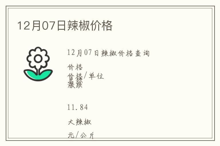 12月07日辣椒價格