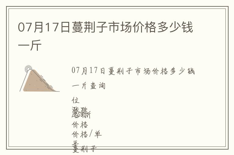 07月17日蔓荊子市場價格多少錢一斤