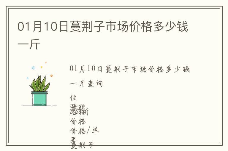 01月10日蔓荊子市場(chǎng)價(jià)格多少錢一斤