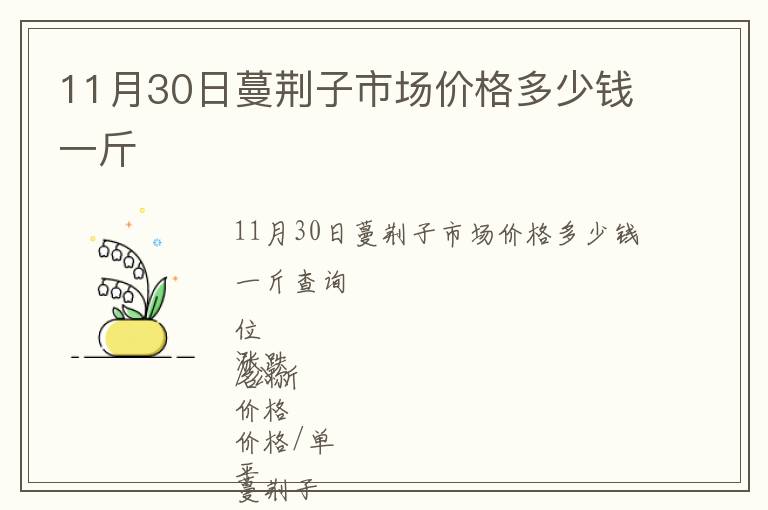 11月30日蔓荊子市場價(jià)格多少錢一斤