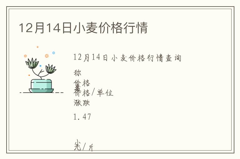 12月14日小麥價格行情