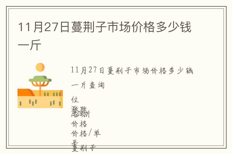 11月27日蔓荊子市場價格多少錢一斤