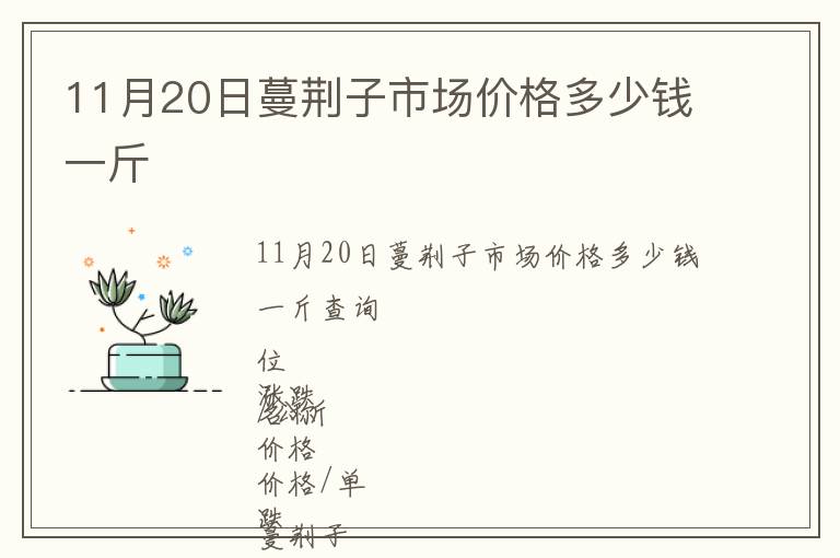 11月20日蔓荊子市場(chǎng)價(jià)格多少錢一斤