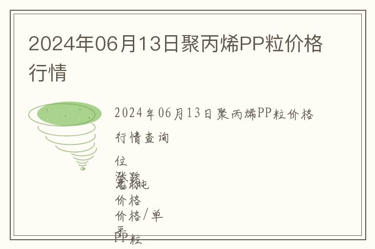 2024年06月13日聚丙烯PP粒價格行情