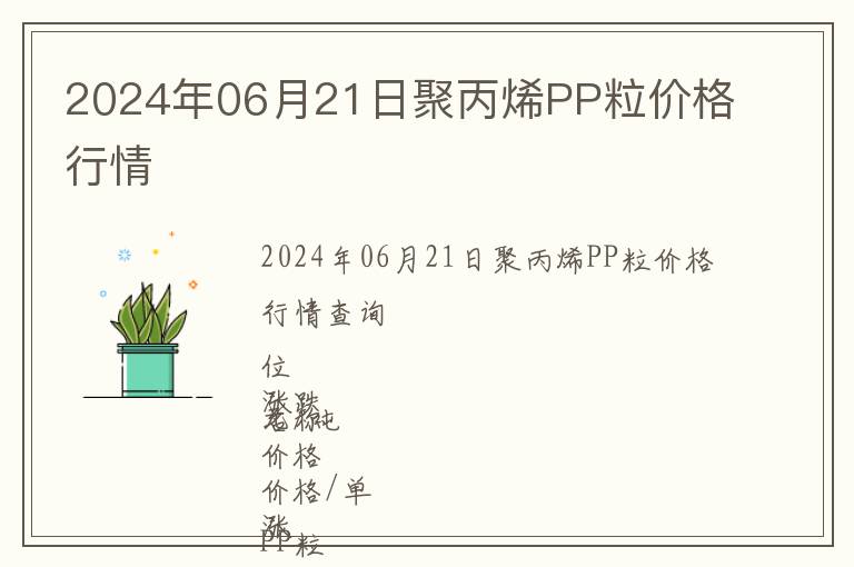 2024年06月21日聚丙烯PP粒價格行情