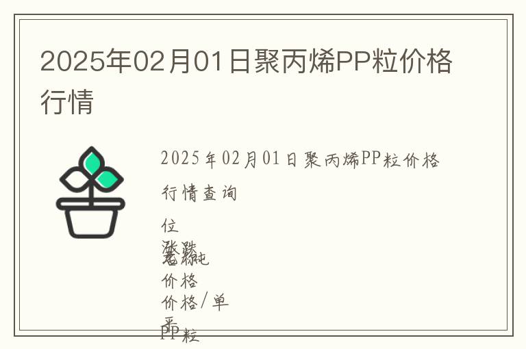 2025年02月01日聚丙烯PP粒價格行情
