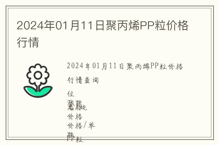 2024年01月11日聚丙烯PP粒價格行情