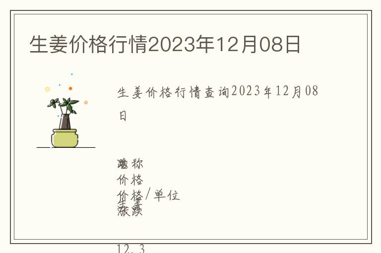 生姜價格行情2023年12月08日