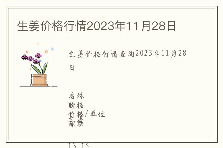 生姜價格行情2023年11月28日