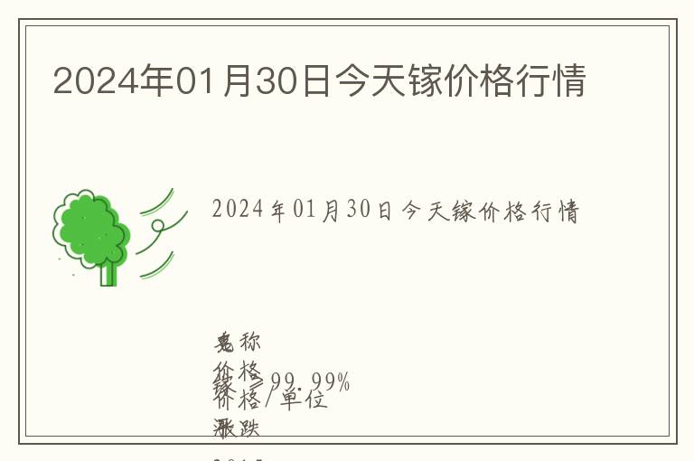 2024年01月30日今天鎵價格行情