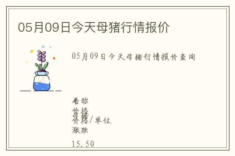 05月09日今天母豬行情報(bào)價(jià)