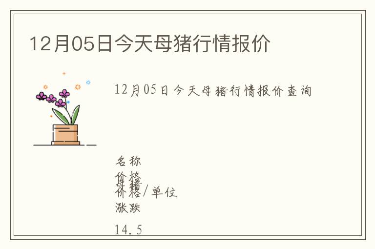 12月05日今天母豬行情報價