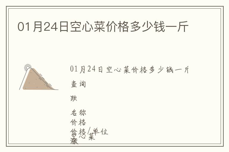 01月24日空心菜價格多少錢一斤
