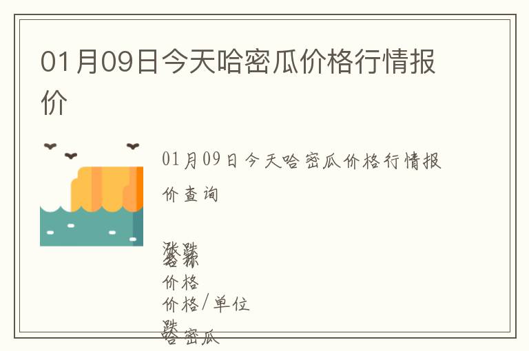 01月09日今天哈密瓜價格行情報價