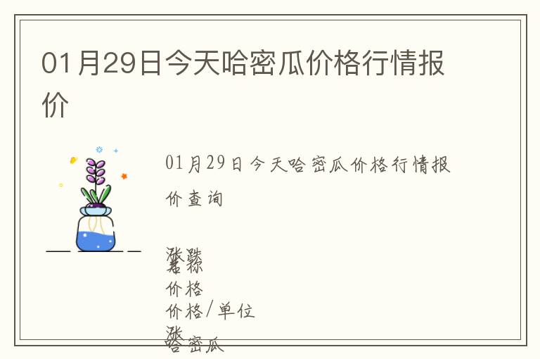 01月29日今天哈密瓜價格行情報價