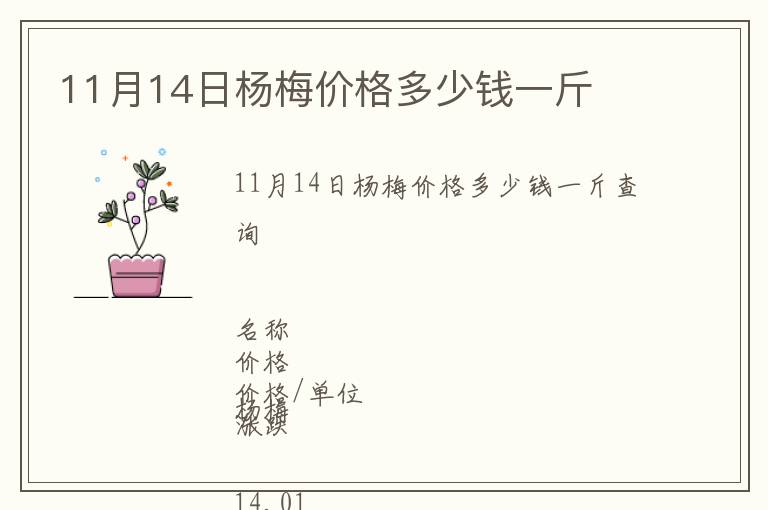 11月14日楊梅價格多少錢一斤