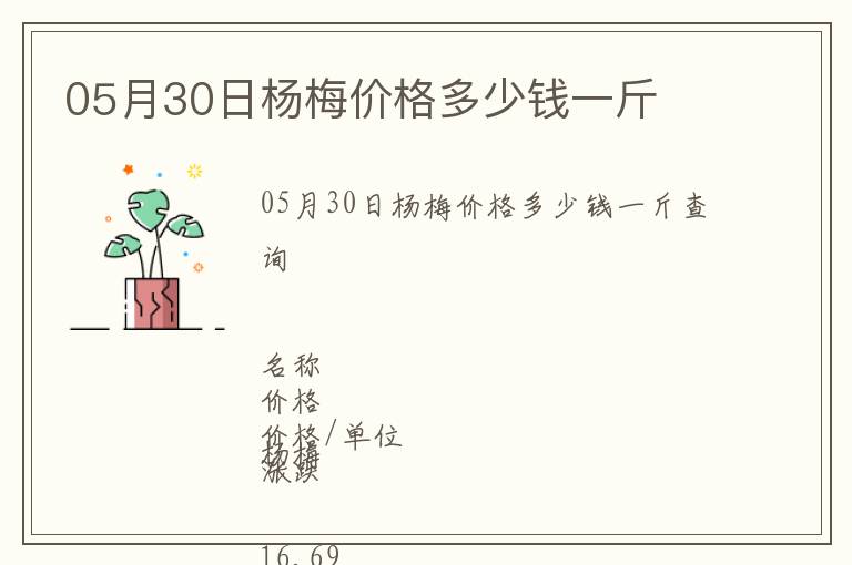 05月30日楊梅價格多少錢一斤