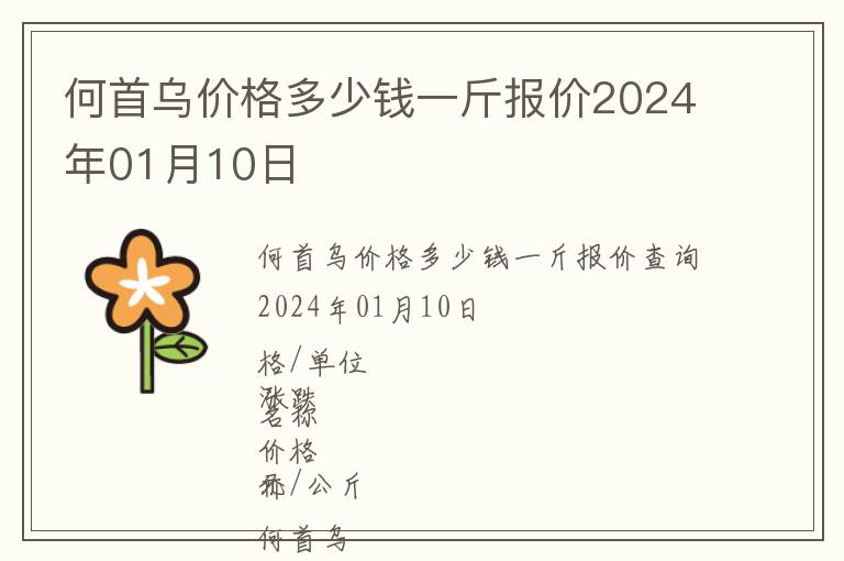 何首烏價格多少錢一斤報價2024年01月10日
