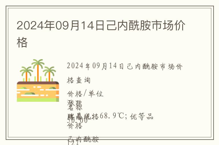 2024年09月14日己內酰胺市場價格