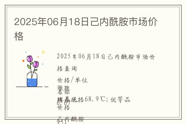 2025年06月18日己內酰胺市場價格