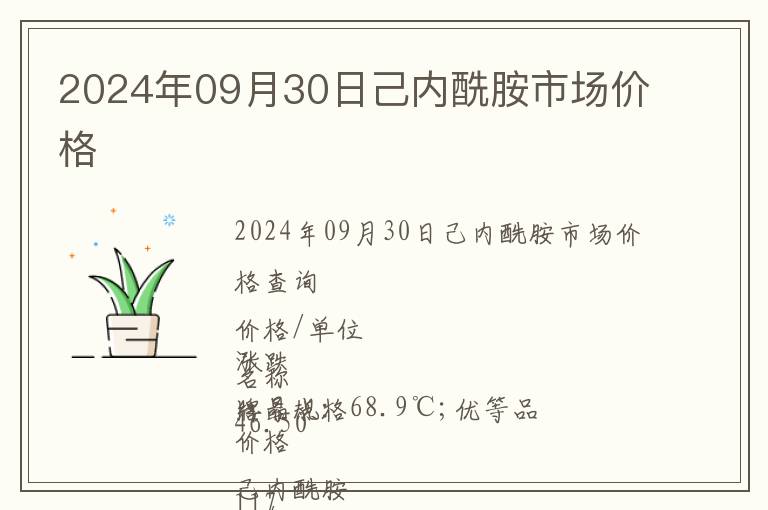 2024年09月30日己內酰胺市場價格