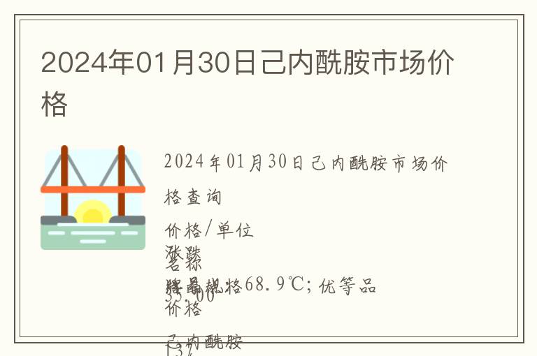 2024年01月30日己內酰胺市場價格