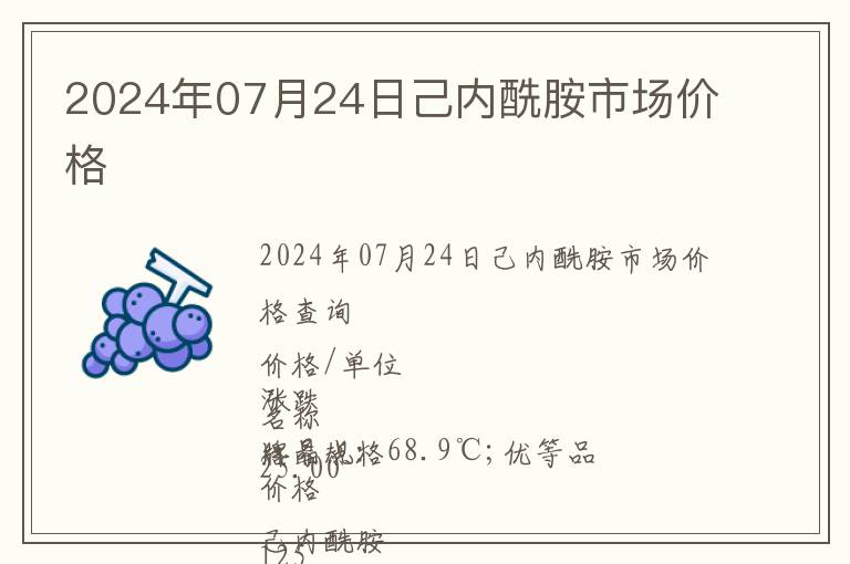 2024年07月24日己內(nèi)酰胺市場(chǎng)價(jià)格