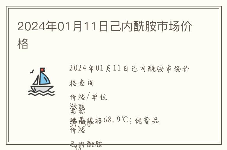 2024年01月11日己內酰胺市場價格