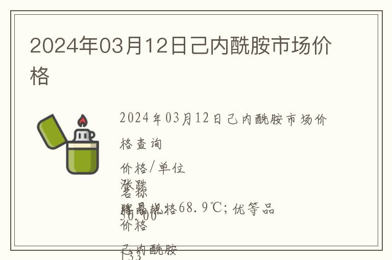2024年03月12日己內酰胺市場價格