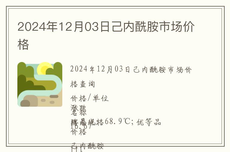 2024年12月03日己內(nèi)酰胺市場價(jià)格