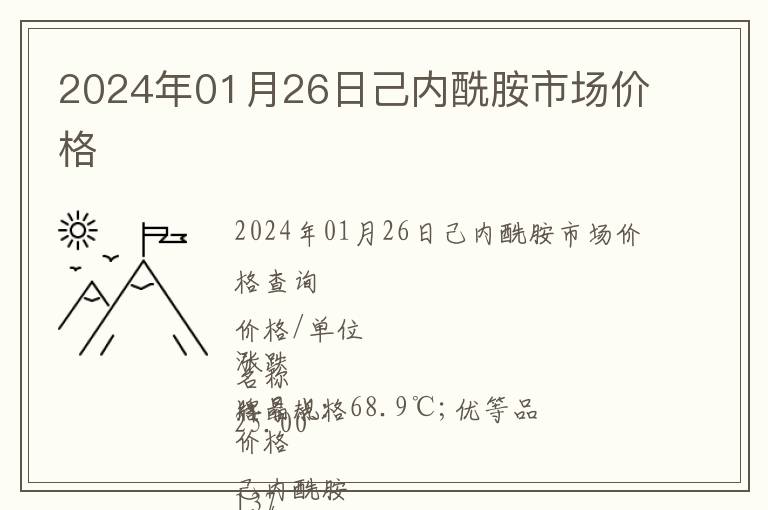 2024年01月26日己內酰胺市場價格