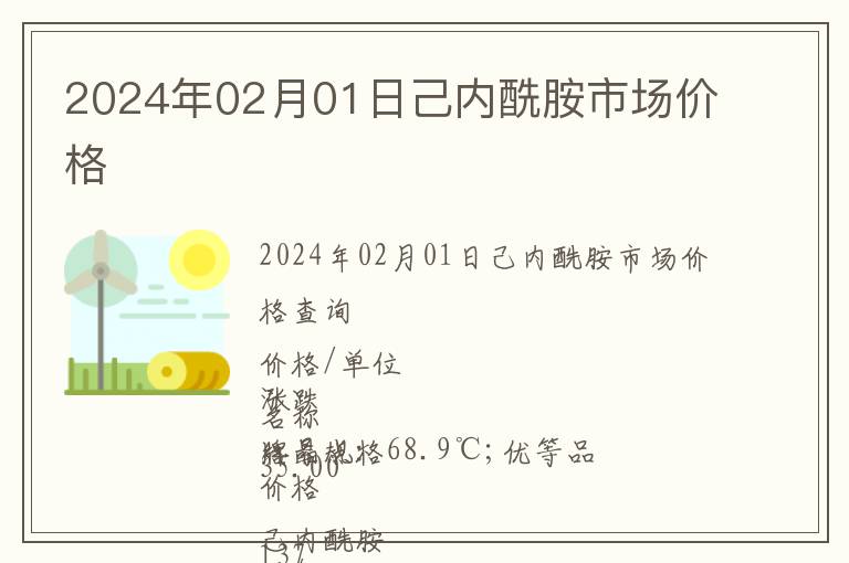 2024年02月01日己內(nèi)酰胺市場價格