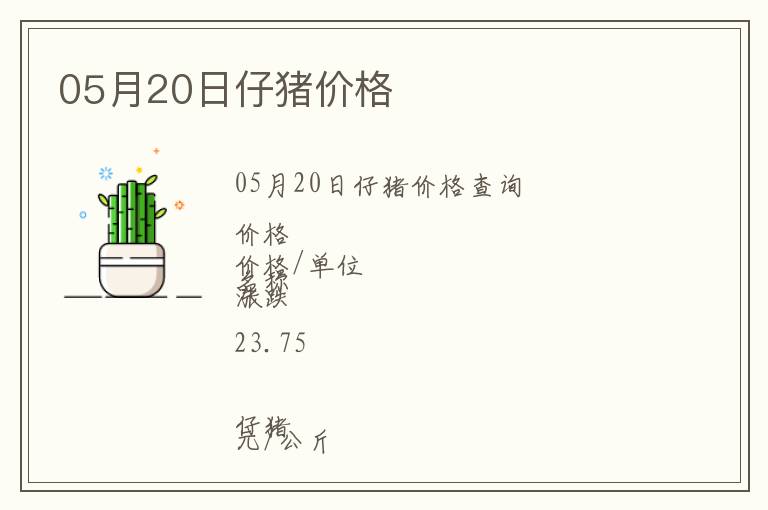 05月20日仔豬價格