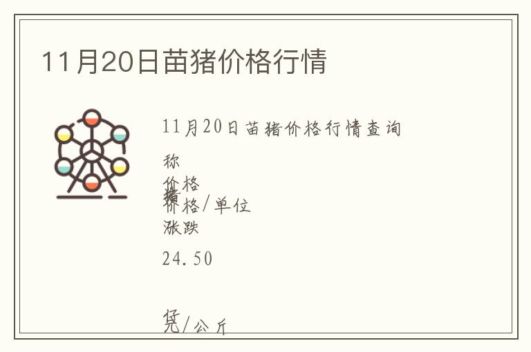 11月20日苗豬價格行情