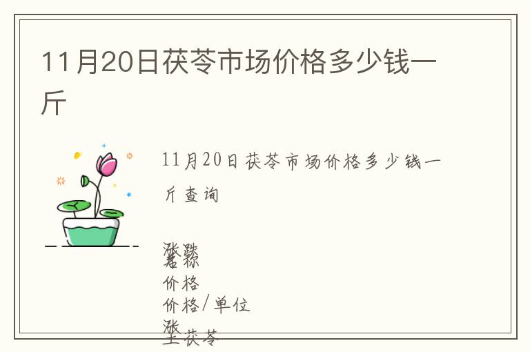 11月20日茯苓市場價格多少錢一斤