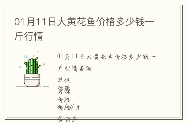 01月11日大黃花魚價格多少錢一斤行情
