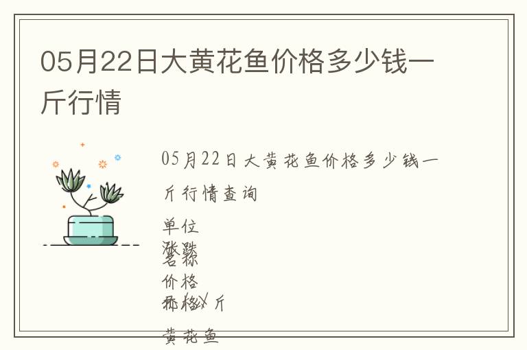 05月22日大黃花魚價格多少錢一斤行情