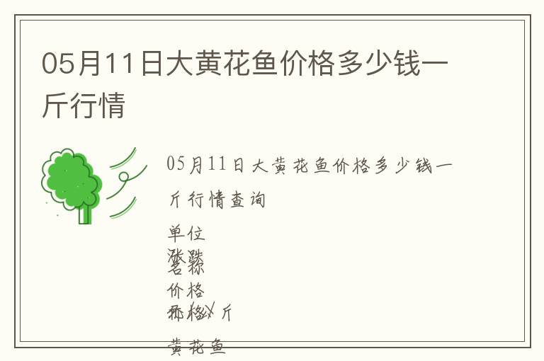 05月11日大黃花魚價格多少錢一斤行情